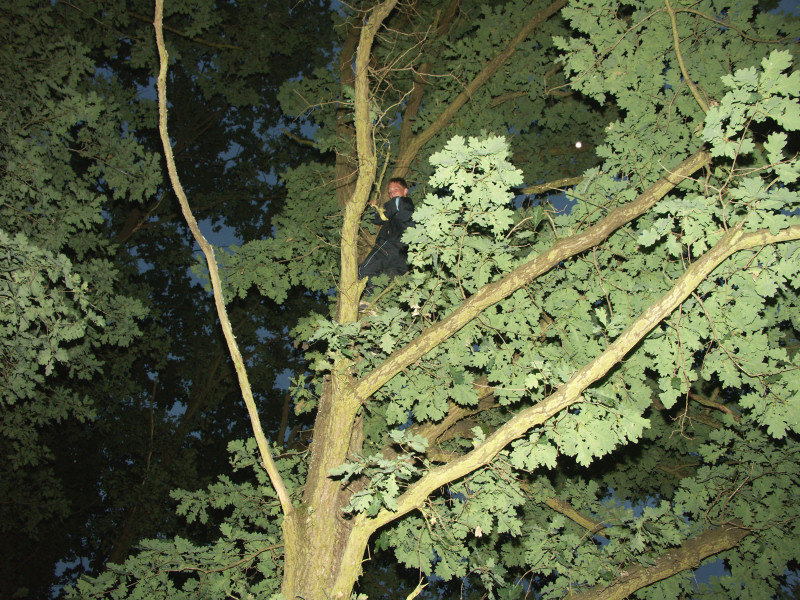 mb080729085.jpg